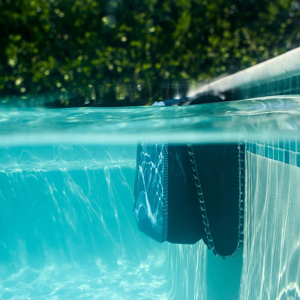 DOLPHIN EON 100 - immagine 6