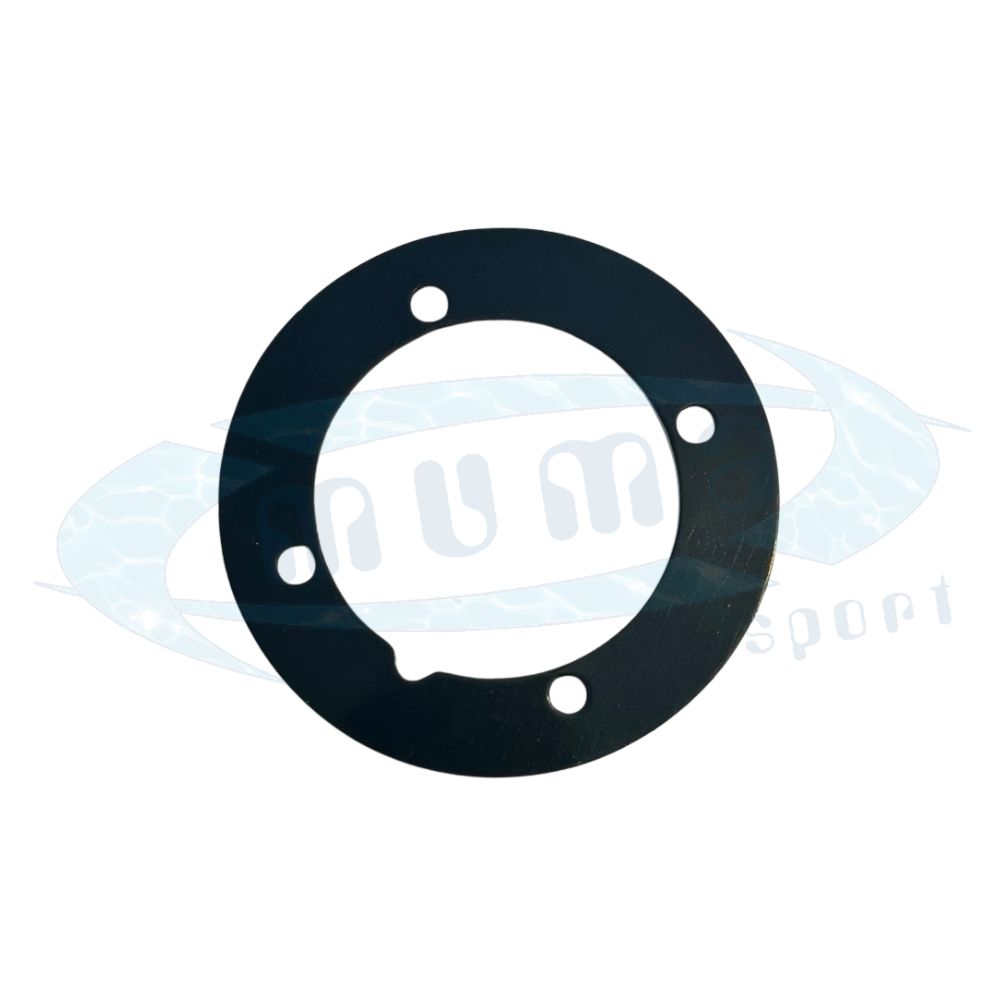 GUARNIZIONE PER BOCCHETTA A PARETE HAYWARD SP 1408