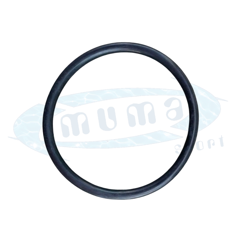 GUARNIZIONE PER COPERCHIO SCATOLA DERIVAZIONE FARO HAYWARD